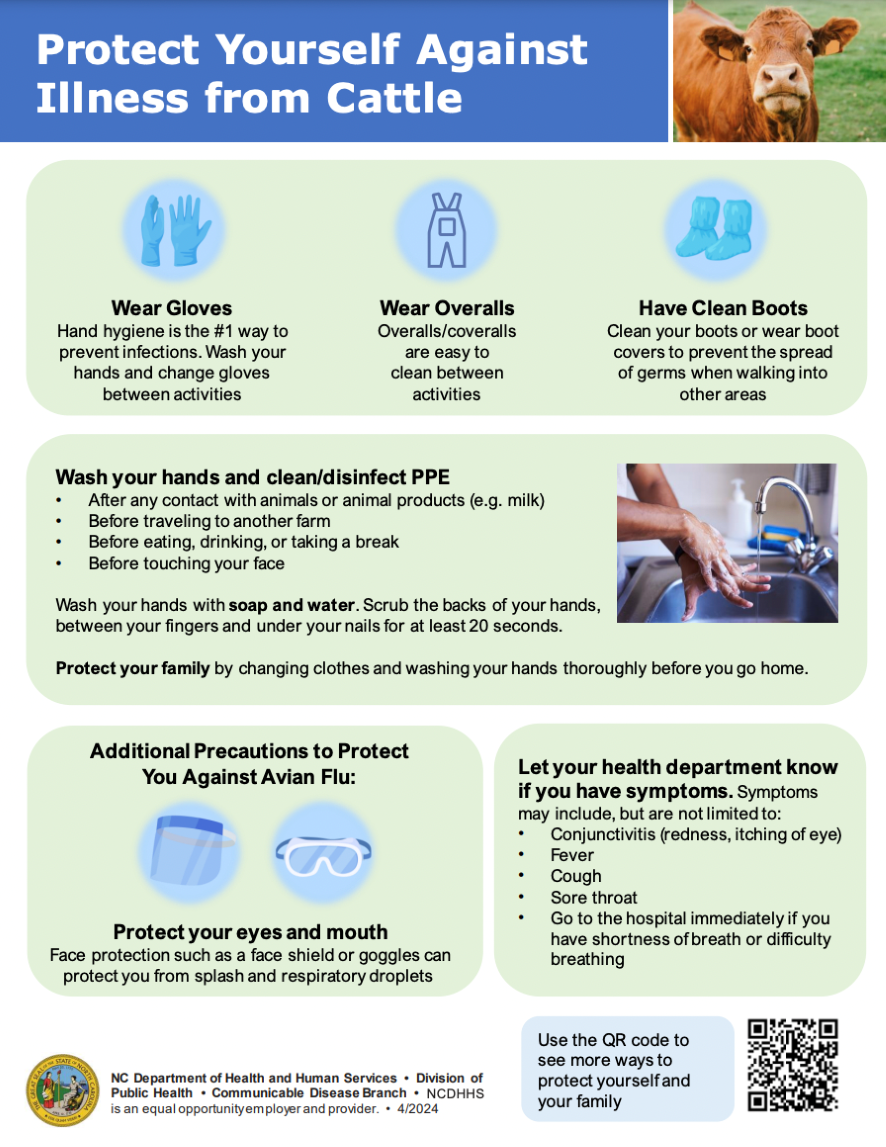 Protect Yourself against Illness in Cattle